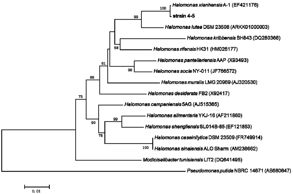 Ijms 16 11834 g005 1024