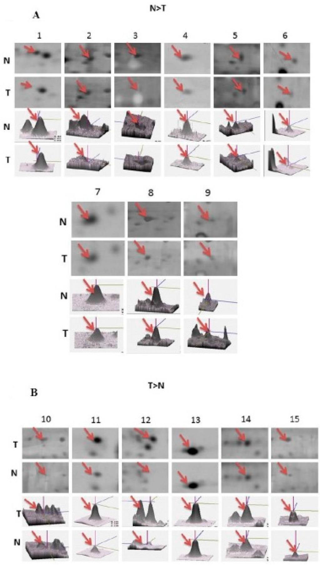 Ijms 16 11873 g003 1024