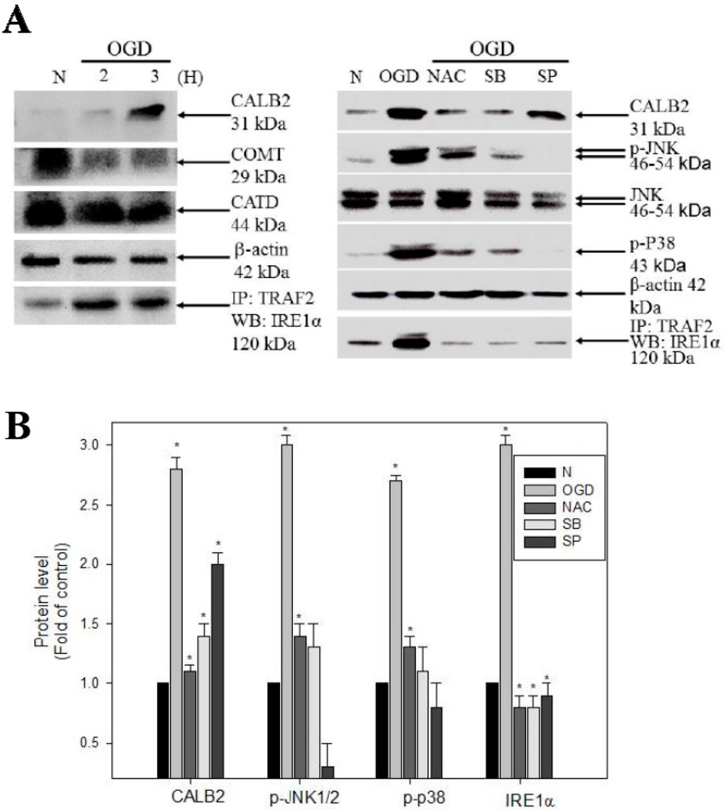 Ijms 16 11873 g006 1024