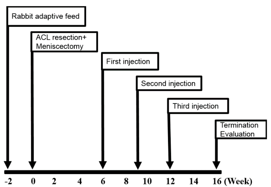 Ijms 16 12076 g008 1024