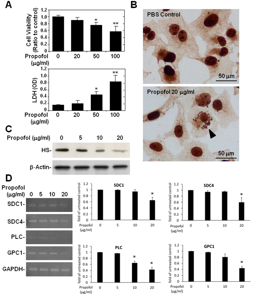 Ijms 16 12092 g004 1024