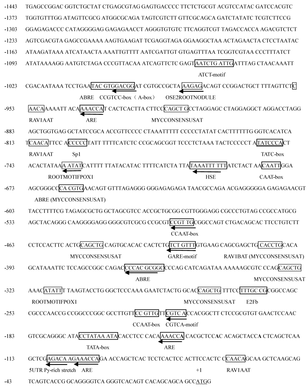 Ijms 16 12131 g001 1024