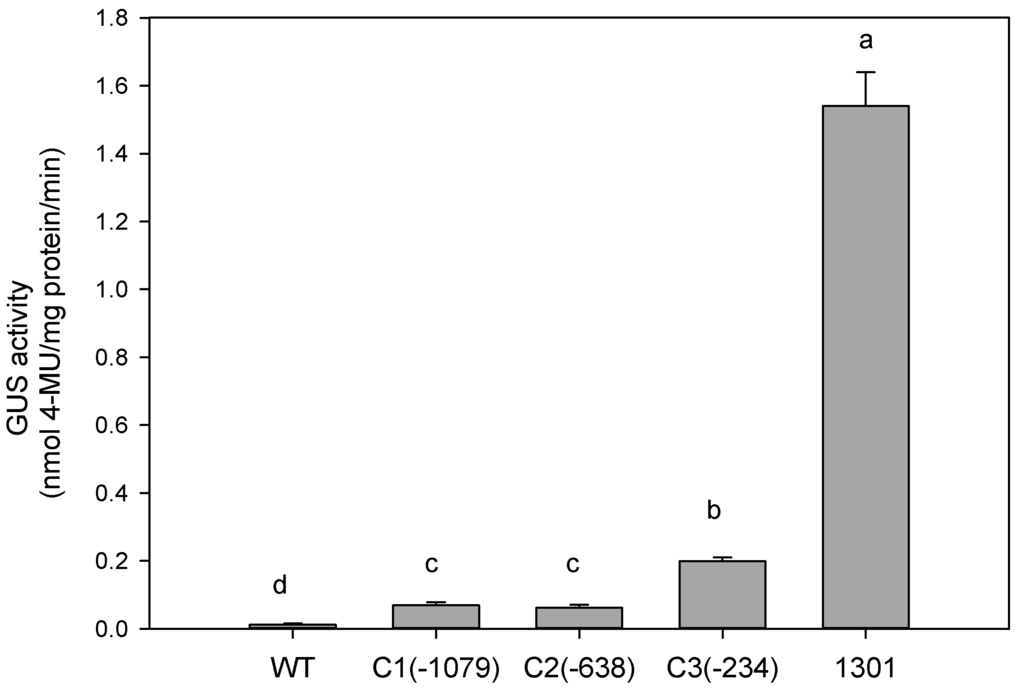 Ijms 16 12131 g003 1024