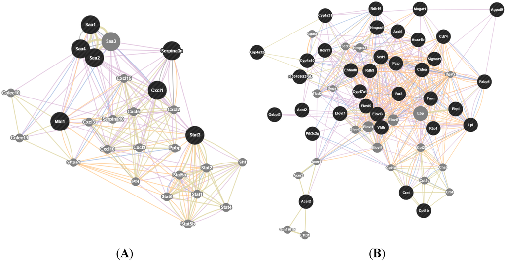 Ijms 16 12213 g004 1024