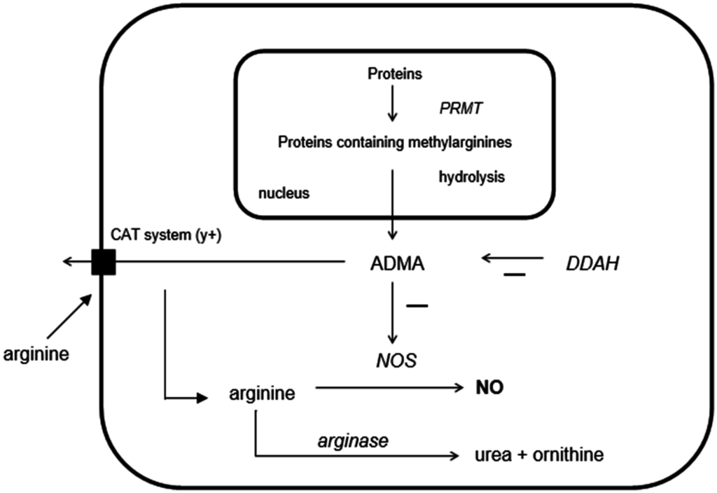 Ijms 16 12230 g001 1024