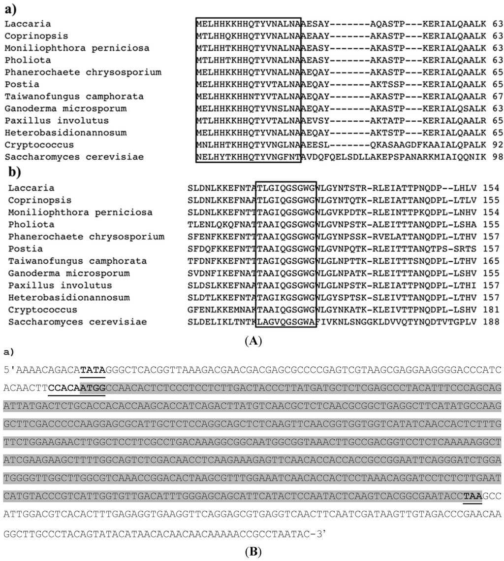 Ijms 16 12324 g001a 1024