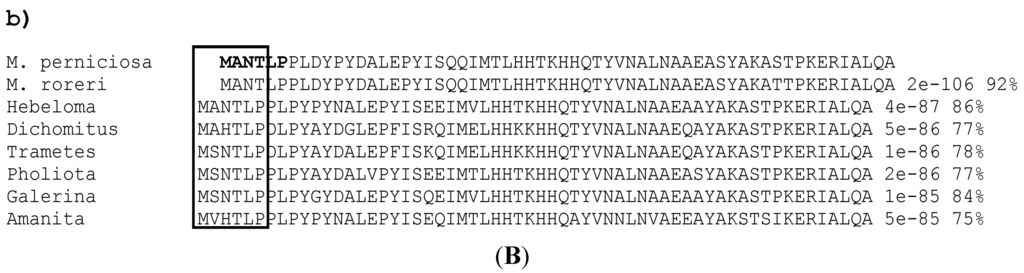 Ijms 16 12324 g001b 1024