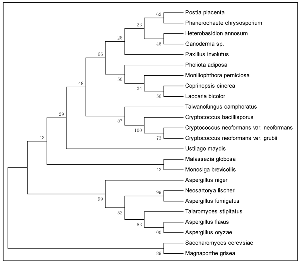 Ijms 16 12324 g002 1024