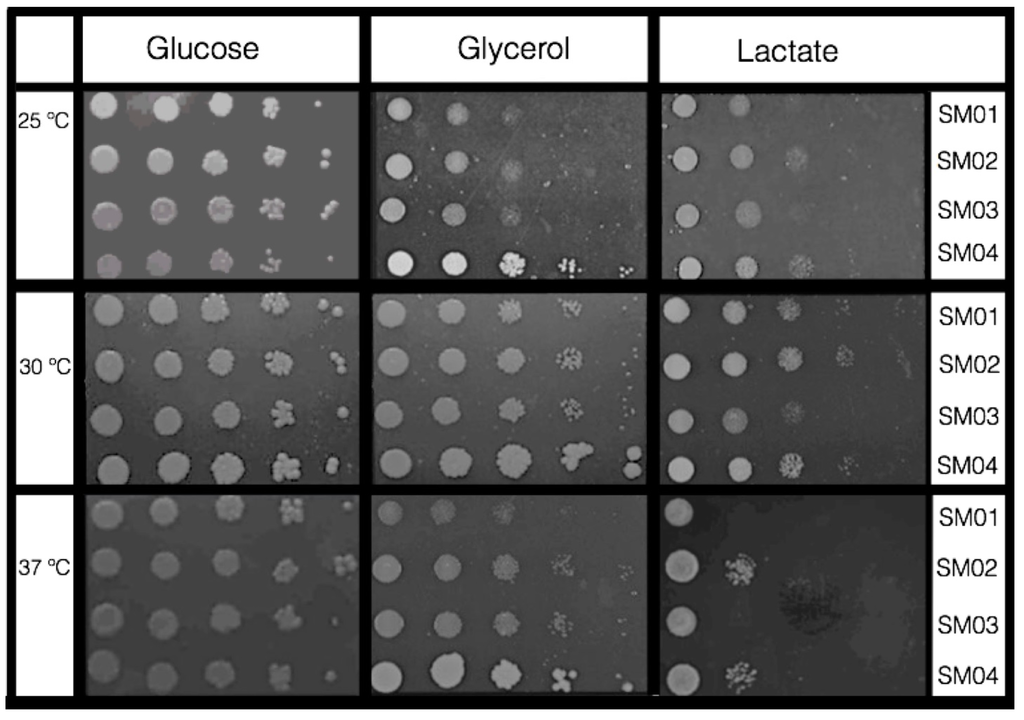 Ijms 16 12324 g005 1024