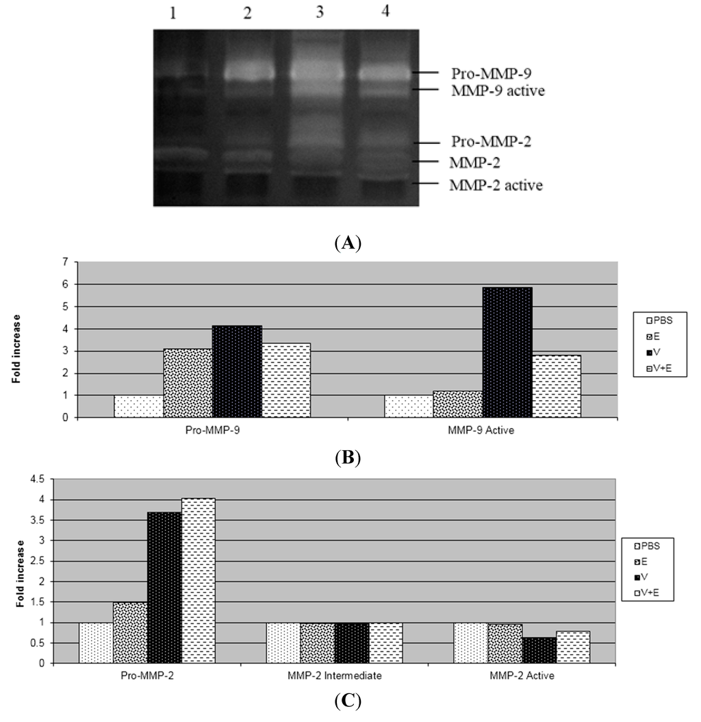 Ijms 16 12454 g002 1024