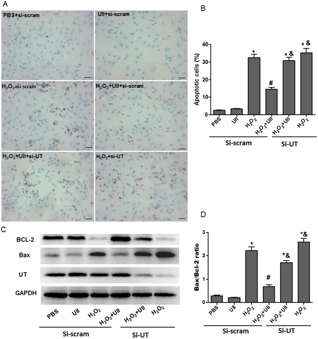 Ijms 16 12482 g001 1024