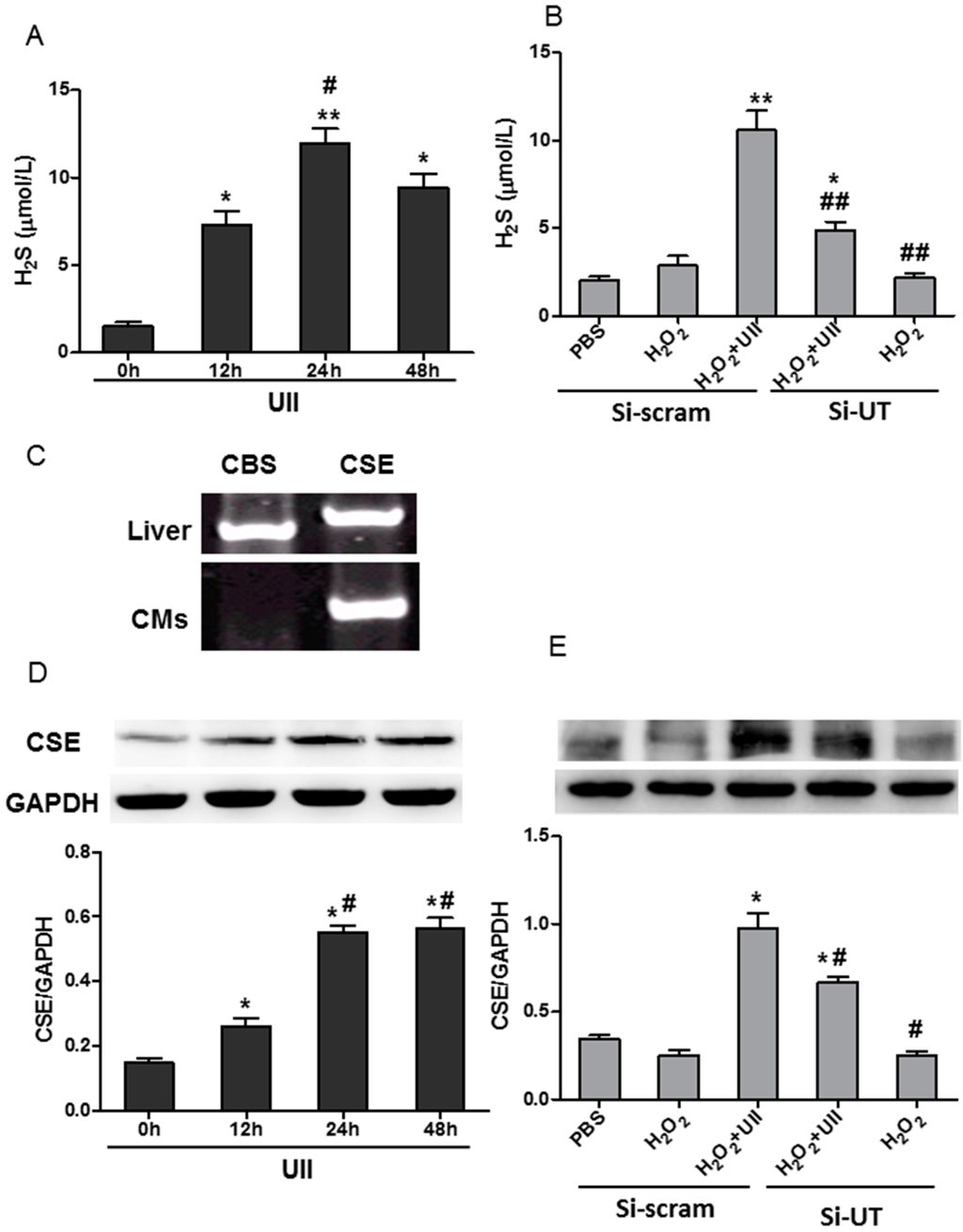 Ijms 16 12482 g002 1024