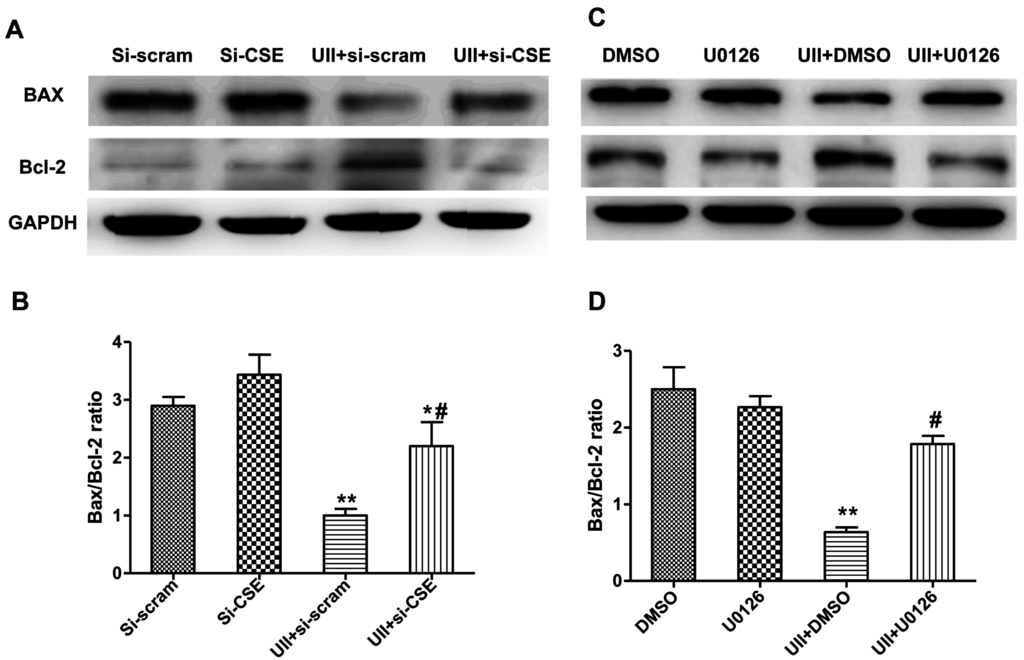 Ijms 16 12482 g005 1024