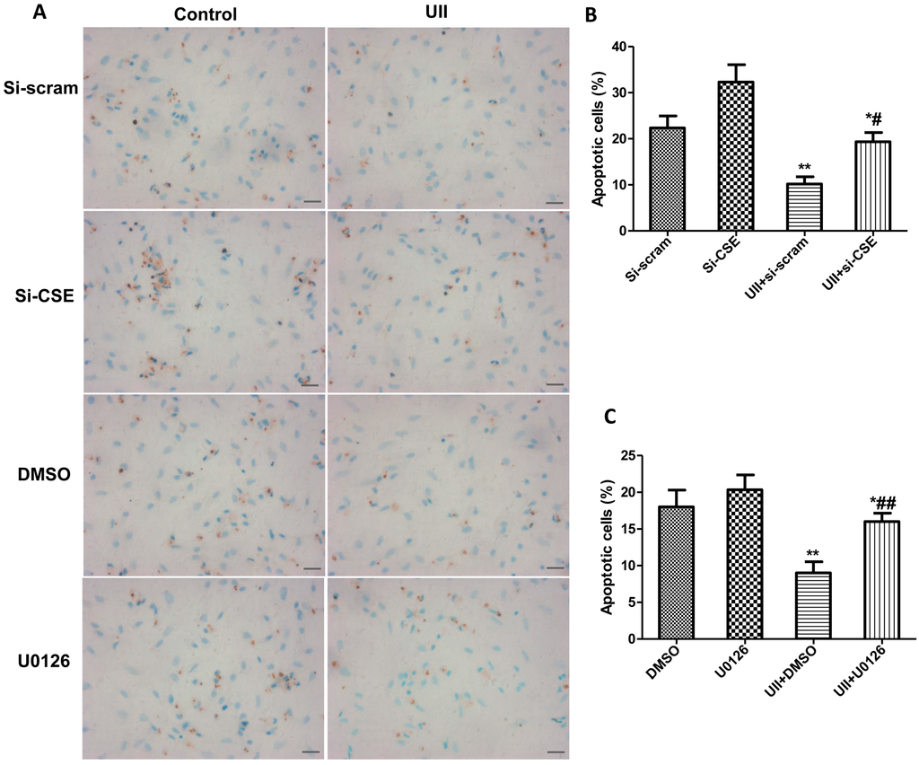 Ijms 16 12482 g006 1024