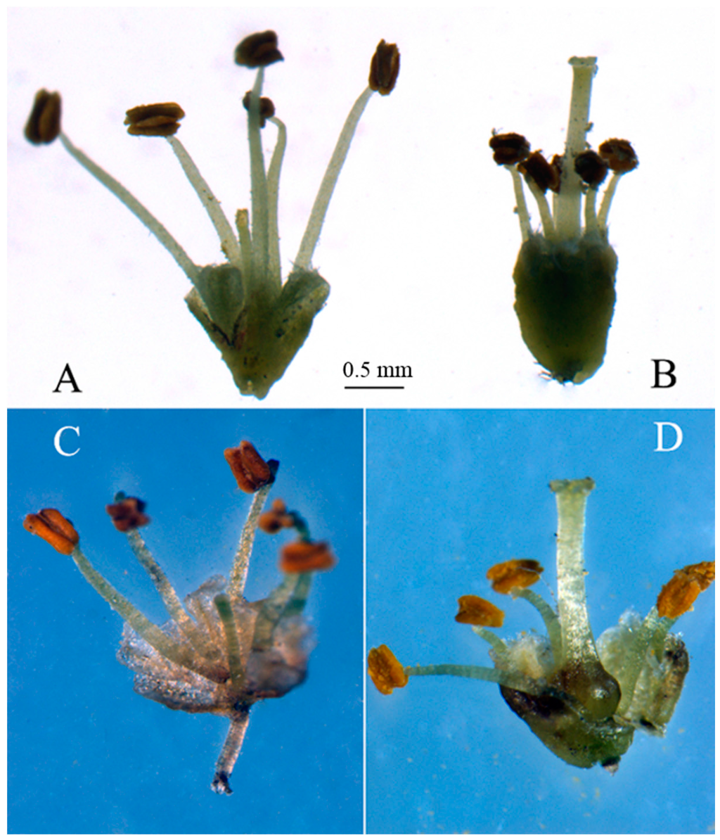 Ijms 16 12855 g005 1024