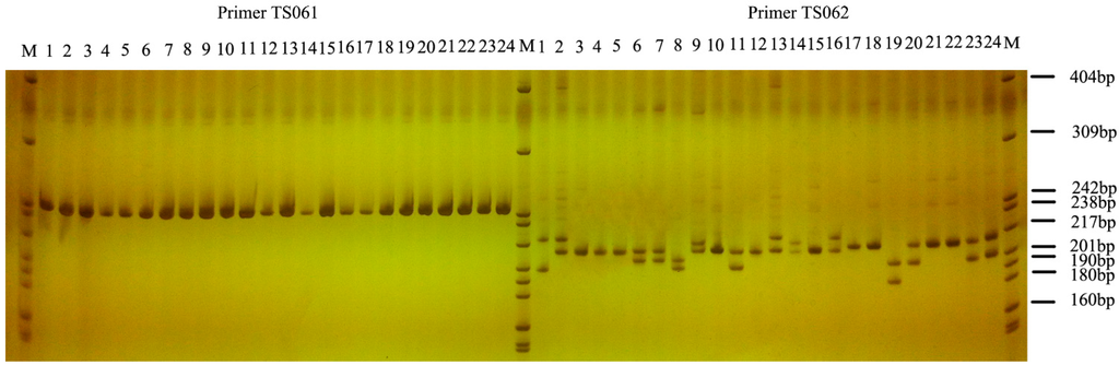 Ijms 16 12855 g007 1024