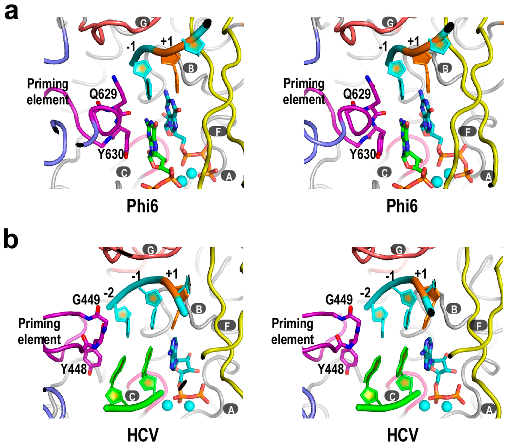 Ijms 16 12943 g003 1024