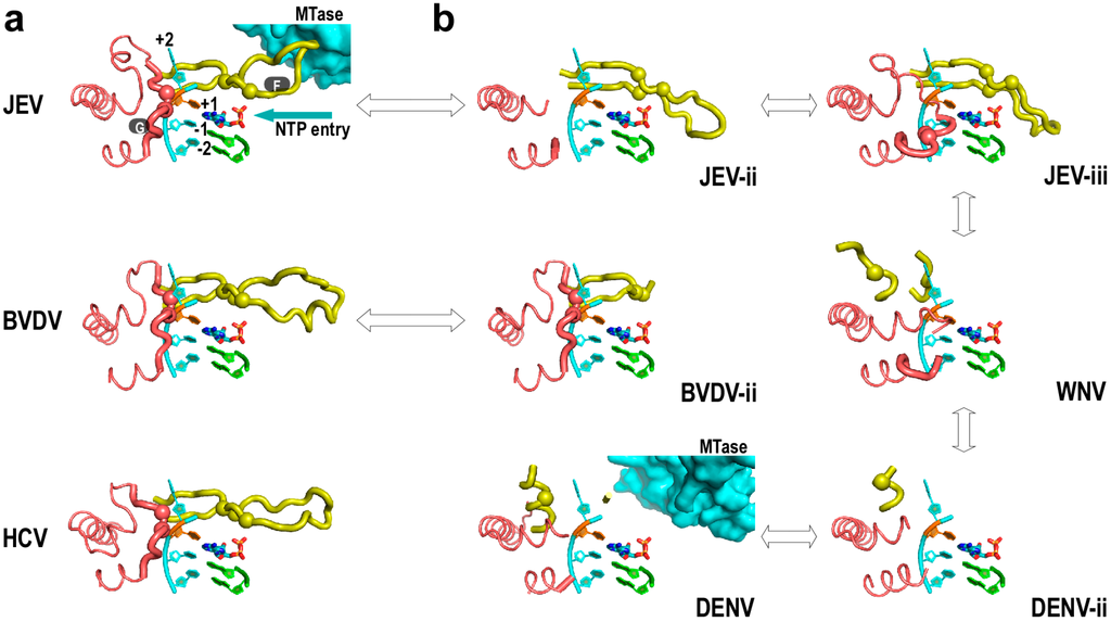 Ijms 16 12943 g004 1024