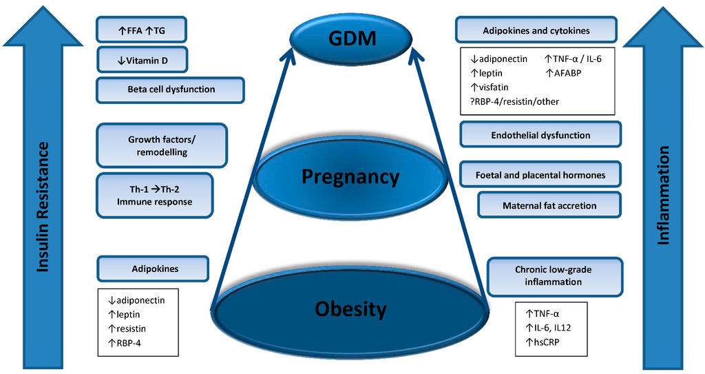 Ijms 16 13442 g002 1024