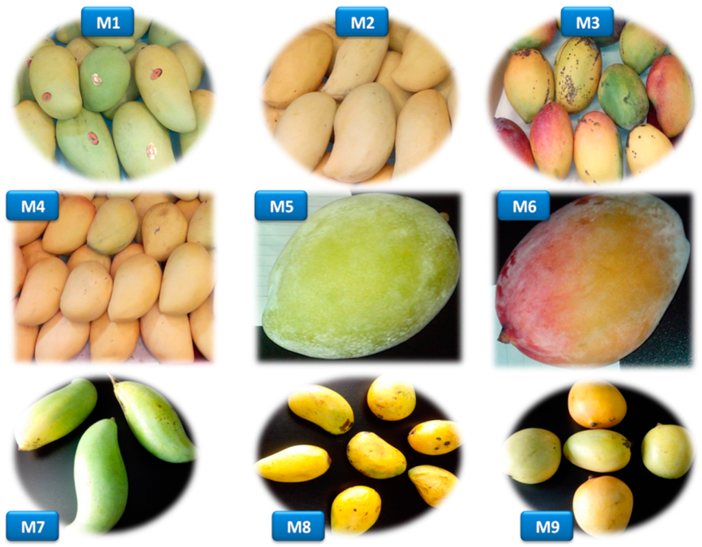 Ijms 16 13507 g004 1024