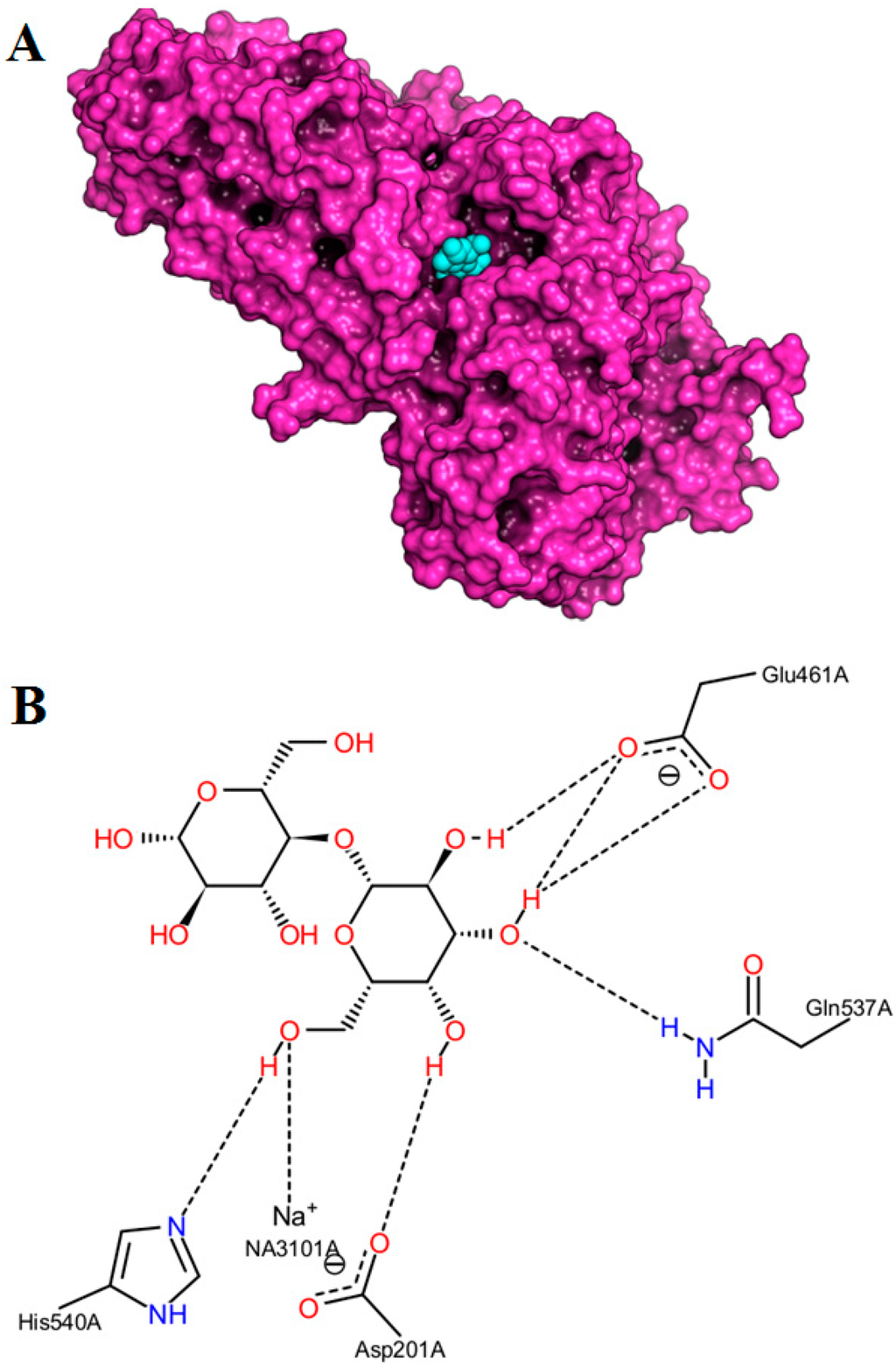 Ijms 16 13714 g001 1024