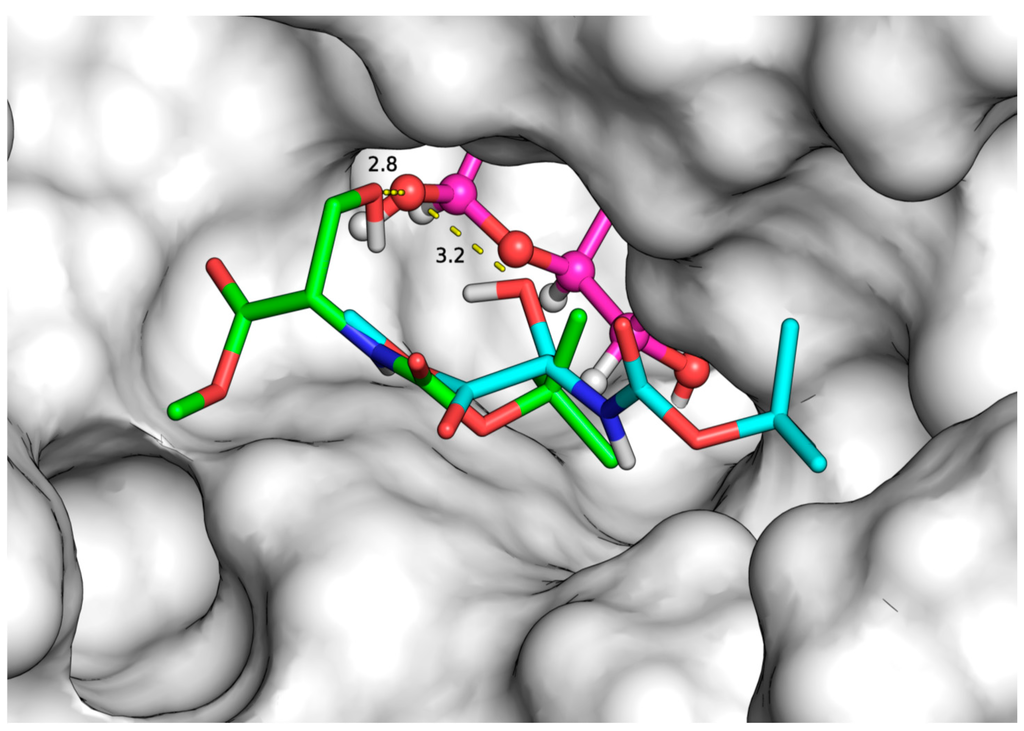Ijms 16 13714 g004 1024
