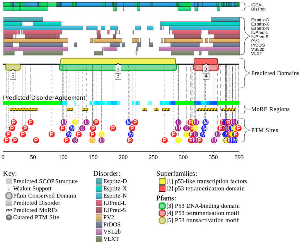 Ijms 16 13829 g006 1024