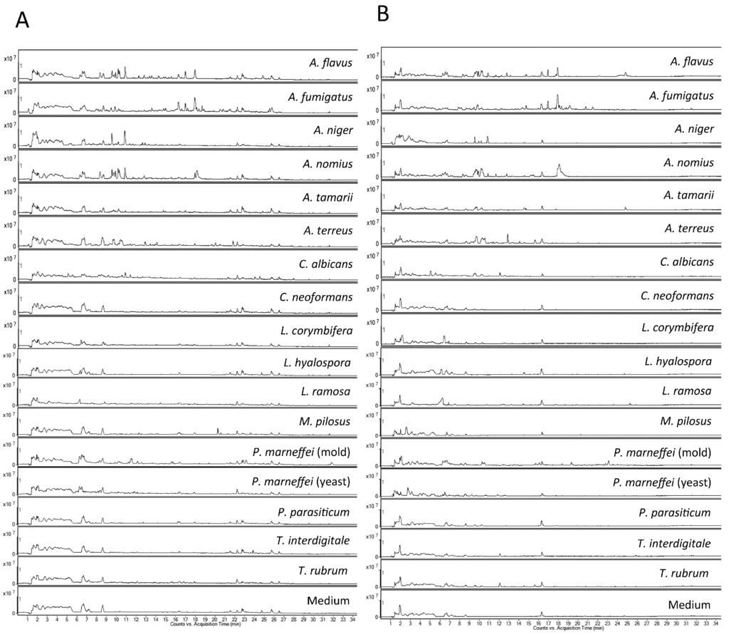 Ijms 16 13850 g001 1024
