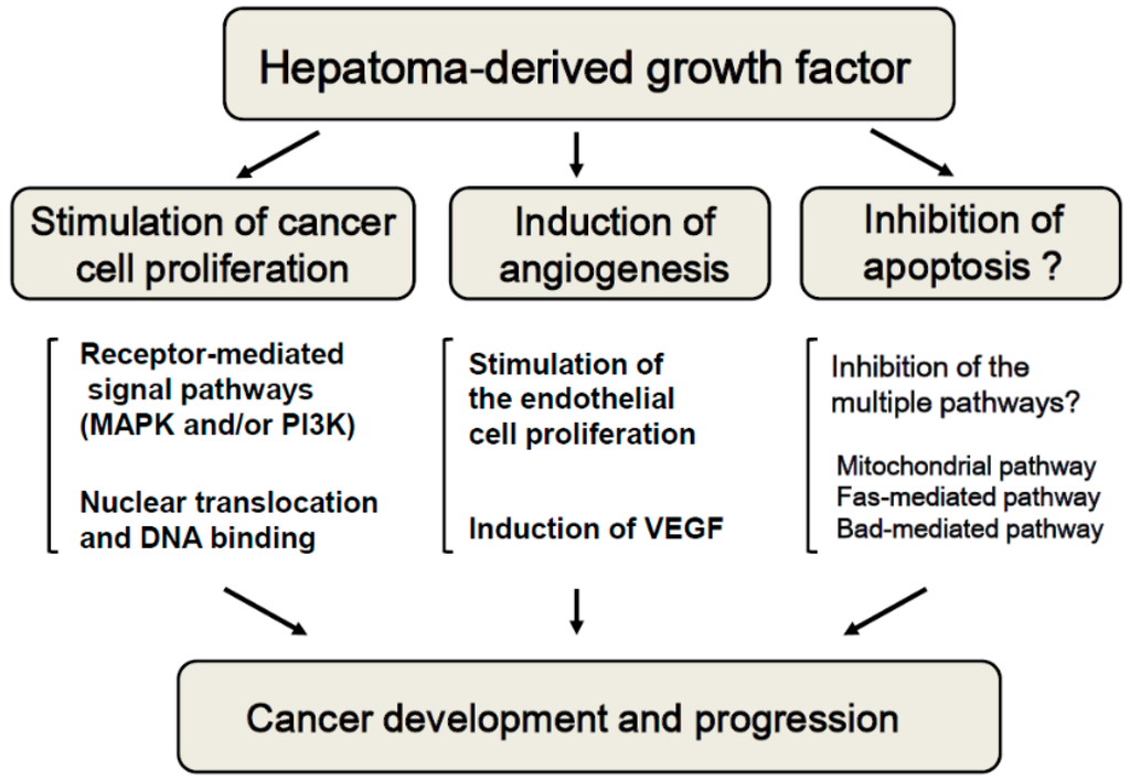 Ijms 16 14086 g003 1024