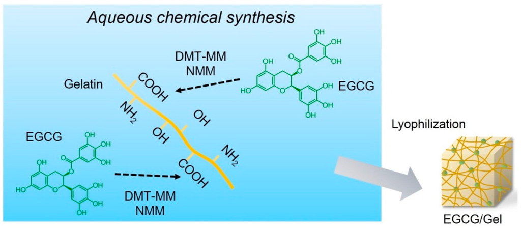 Ijms 16 14143 g001 1024