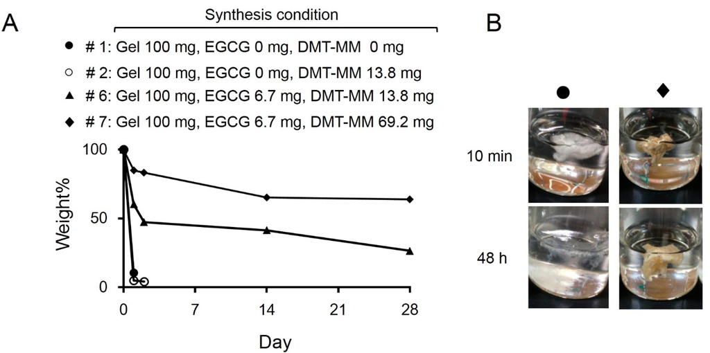 Ijms 16 14143 g003 1024