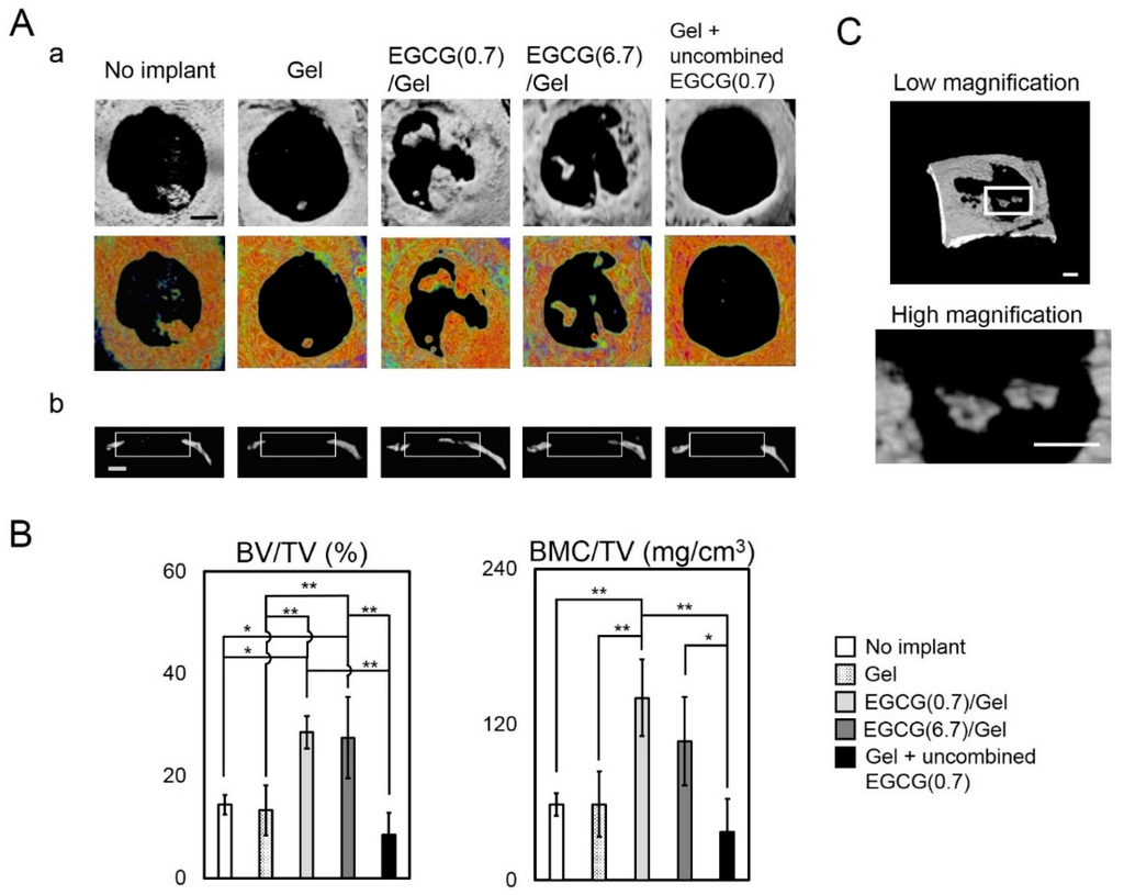 Ijms 16 14143 g004 1024