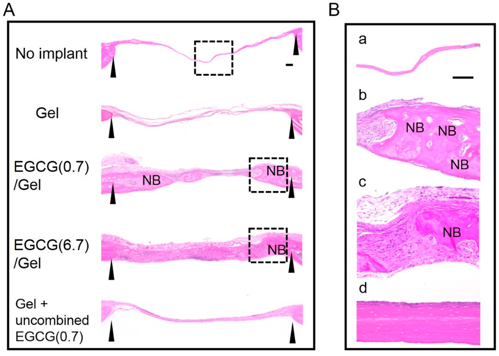 Ijms 16 14143 g005 1024