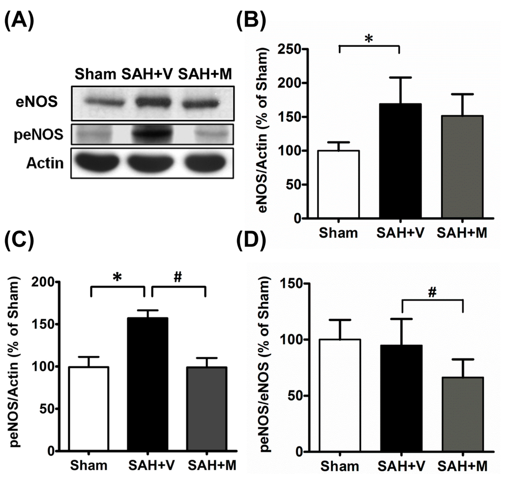 Ijms 16 14171 g003 1024