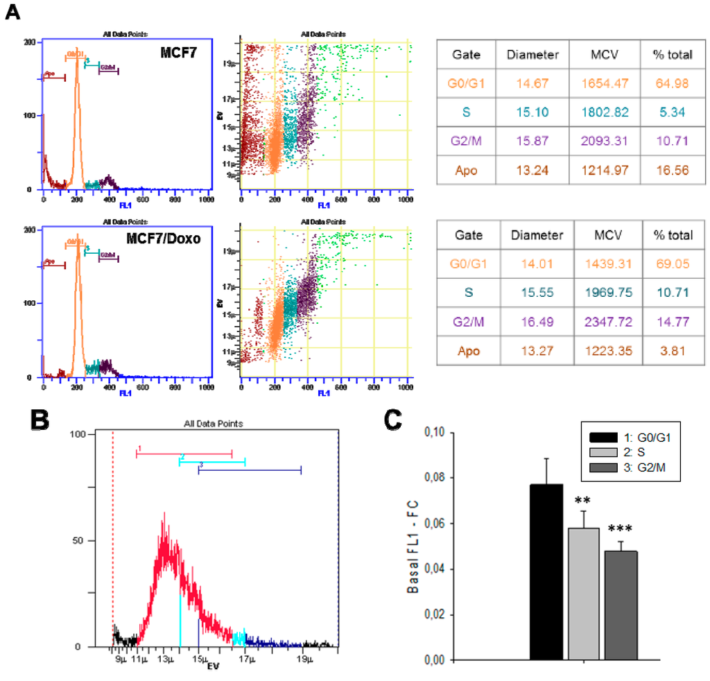 Ijms 16 14318 g004a 1024
