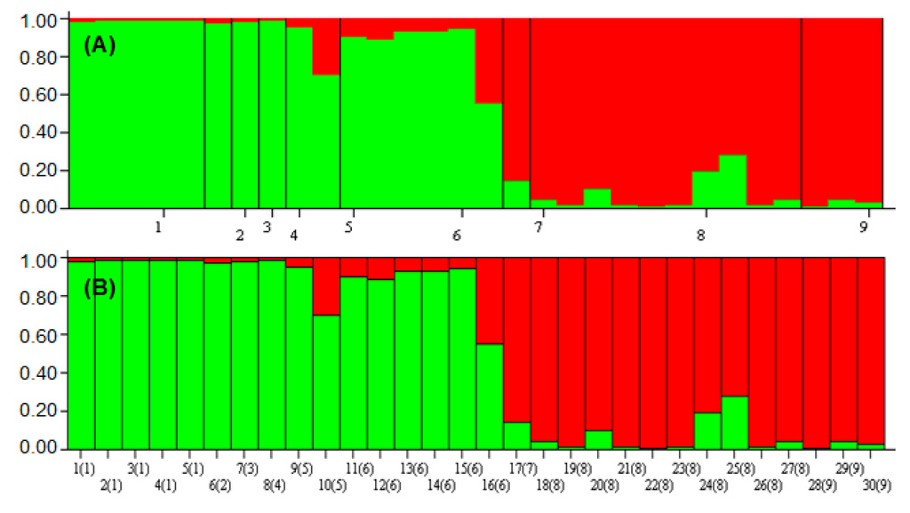 Ijms 16 14369 g008 1024