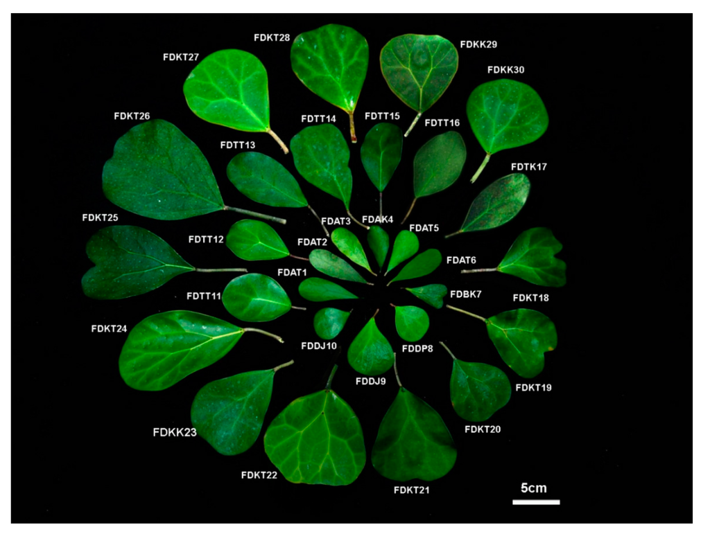 Ijms 16 14369 g009 1024