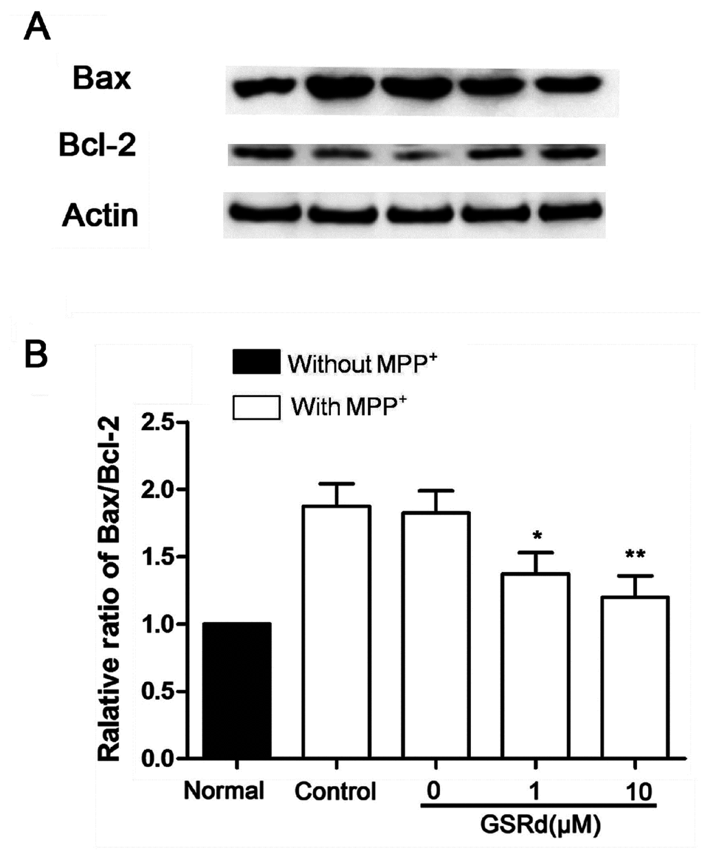 Ijms 16 14395 g004 1024
