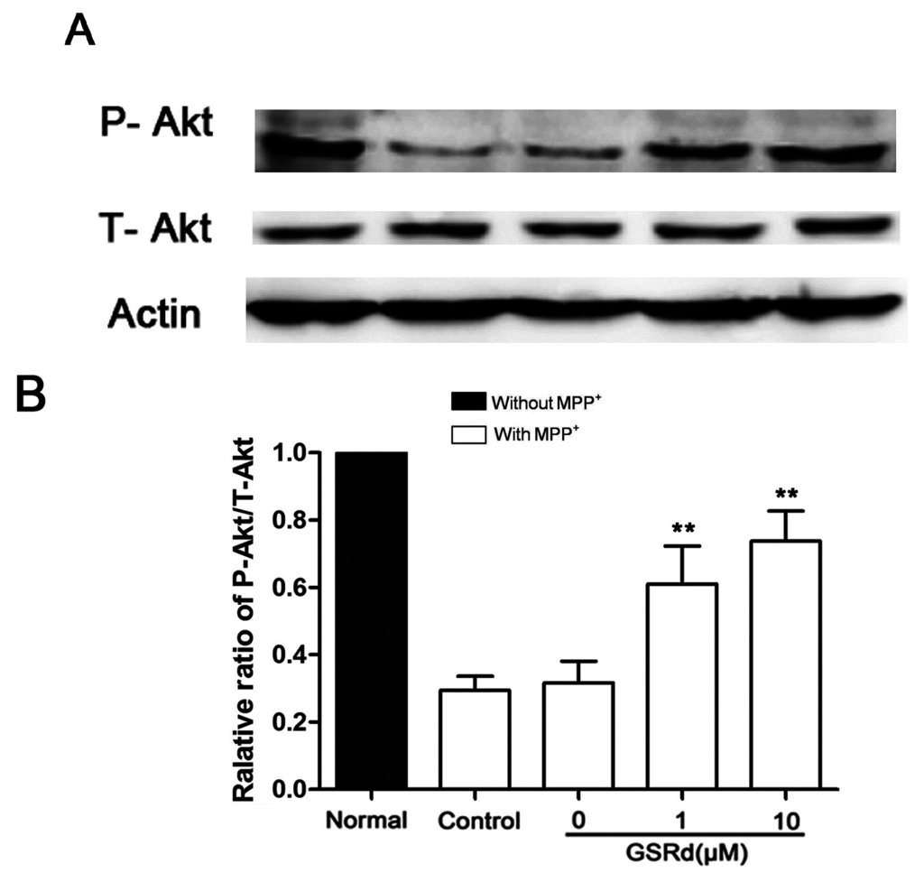 Ijms 16 14395 g005a 1024