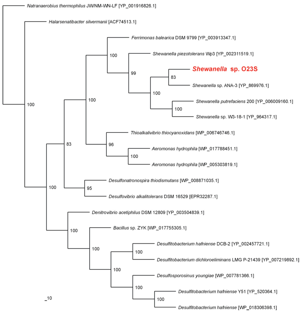 Ijms 16 14409 g001 1024