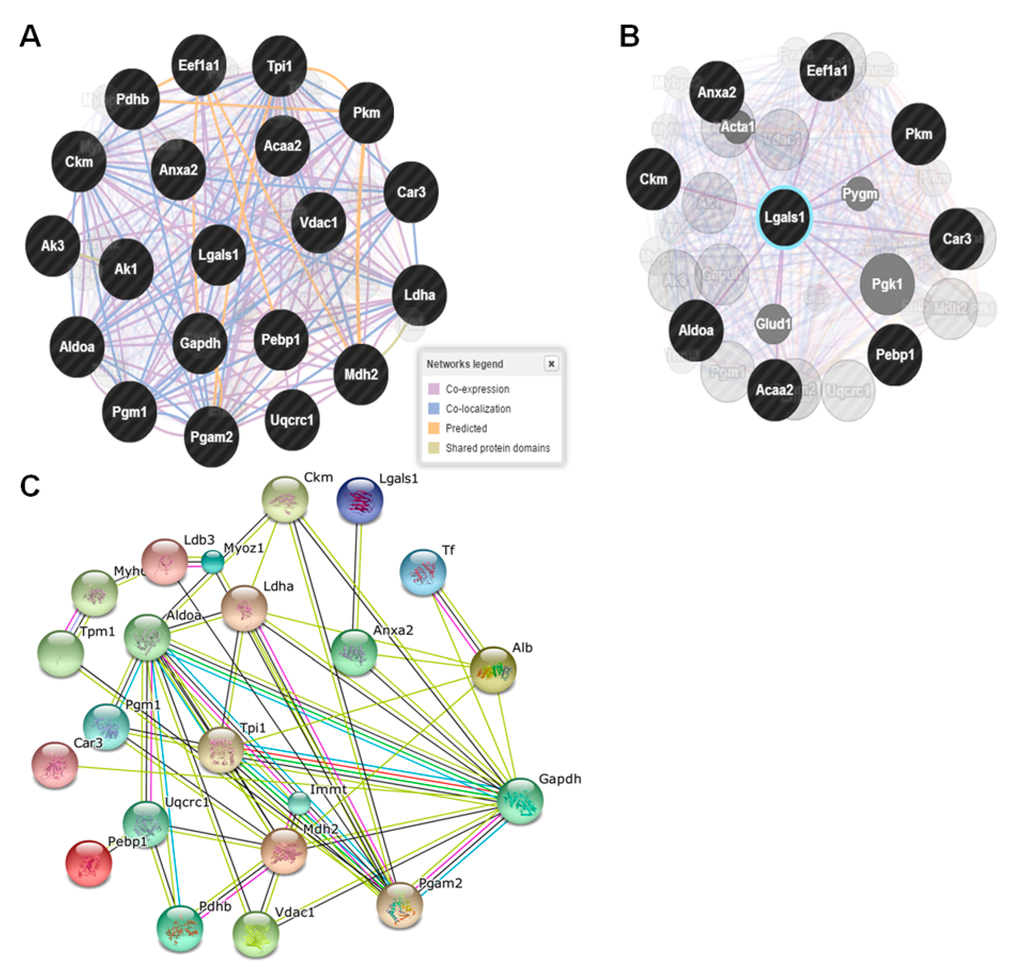 Ijms 16 14441 g007 1024