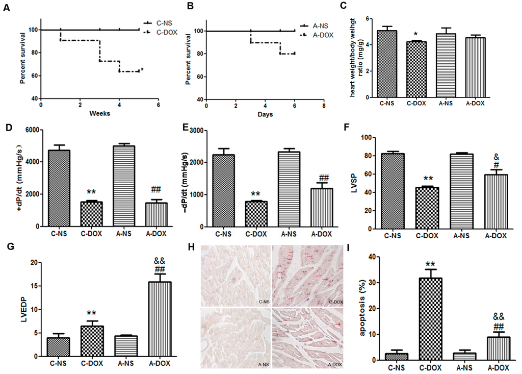 Ijms 16 14511 g001 1024