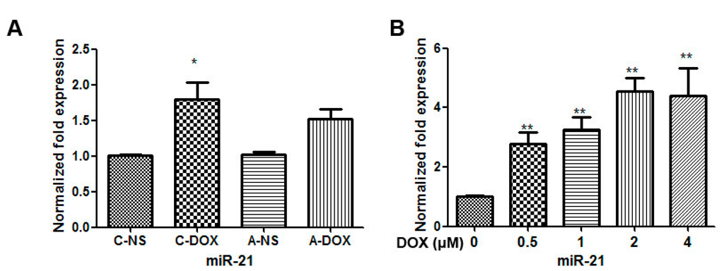 Ijms 16 14511 g002 1024