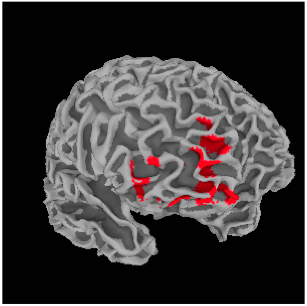 Ijms 16 14640 g001 1024