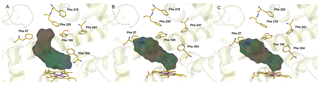 Ijms 16 14677 g002 1024