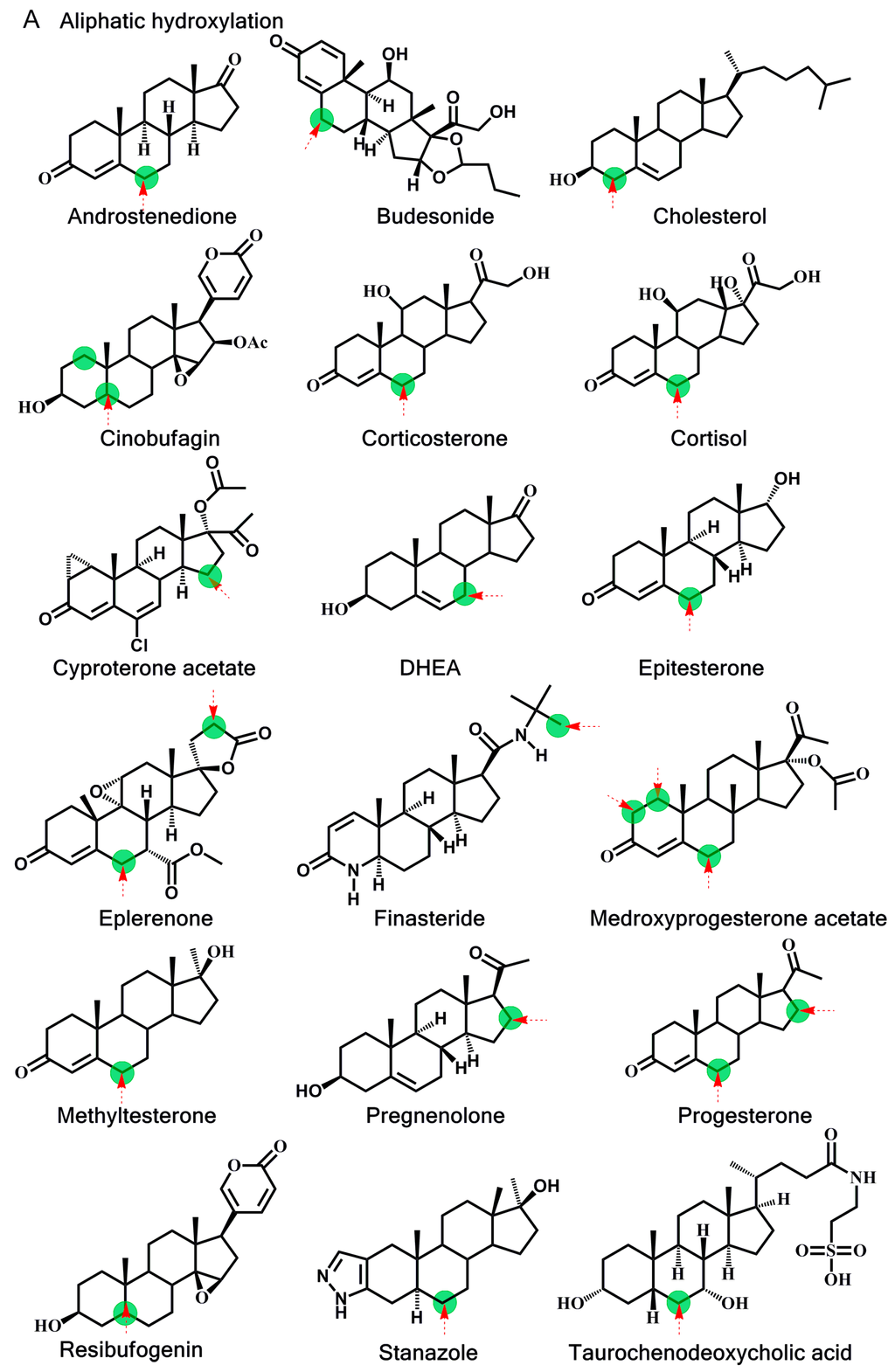 Ijms 16 14677 g003a 1024