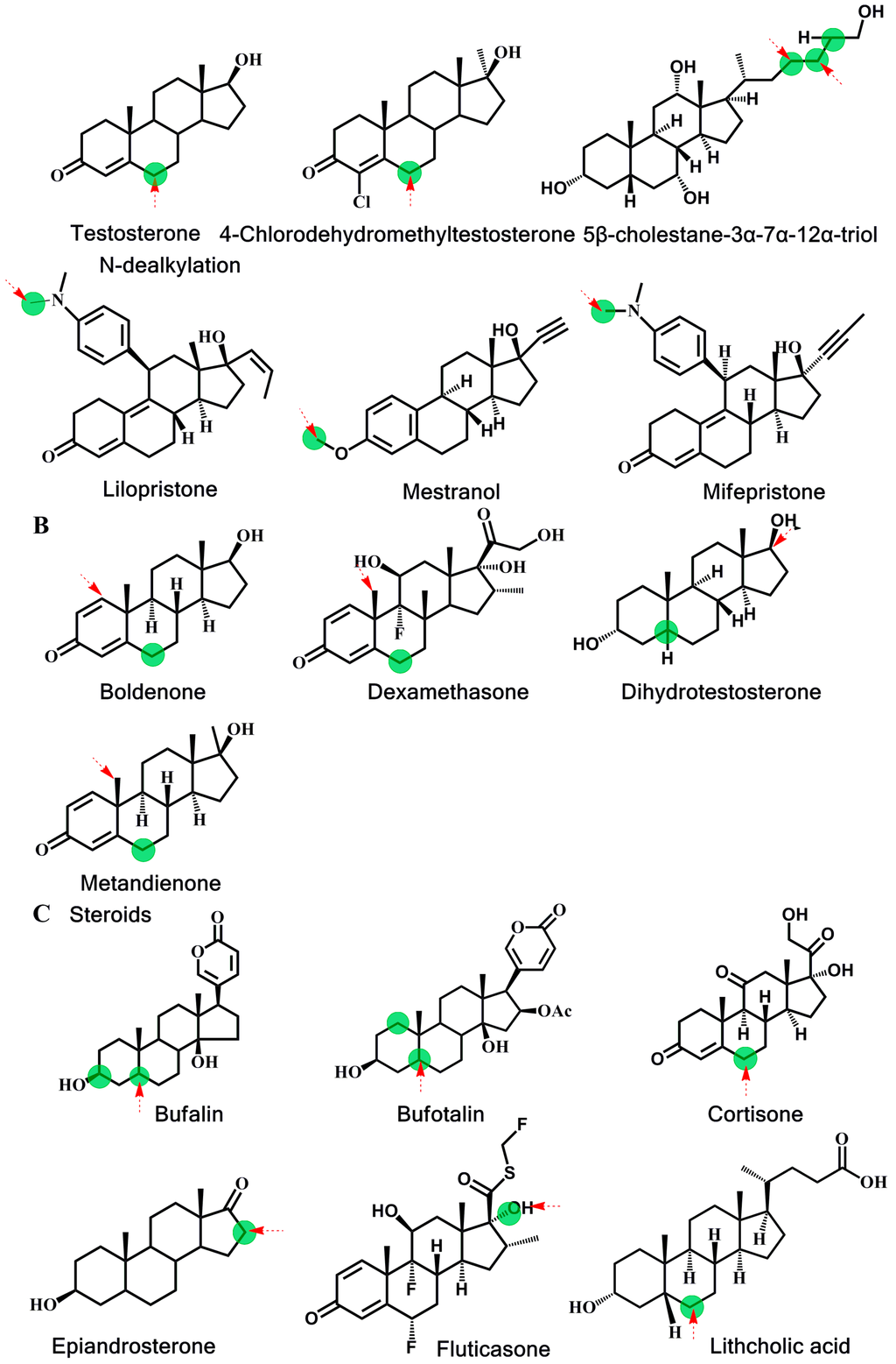 Ijms 16 14677 g003b 1024