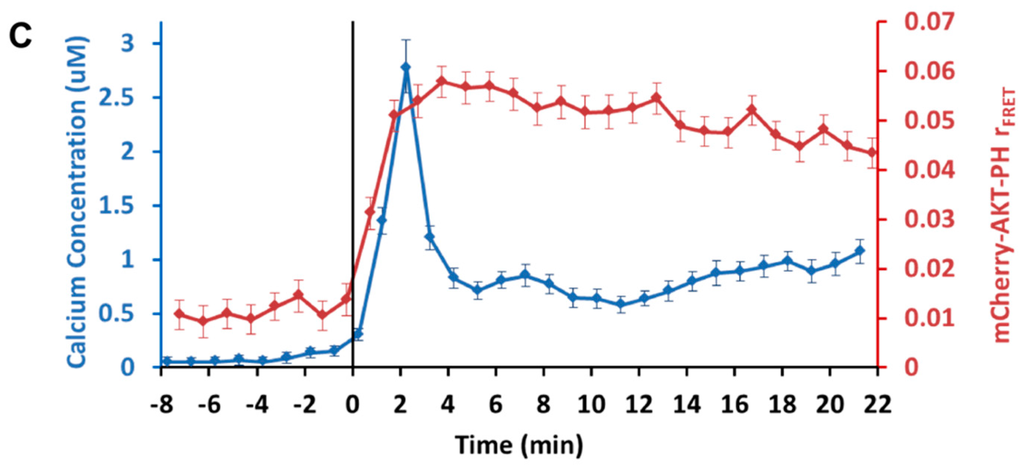 Ijms 16 14695 g004b 1024