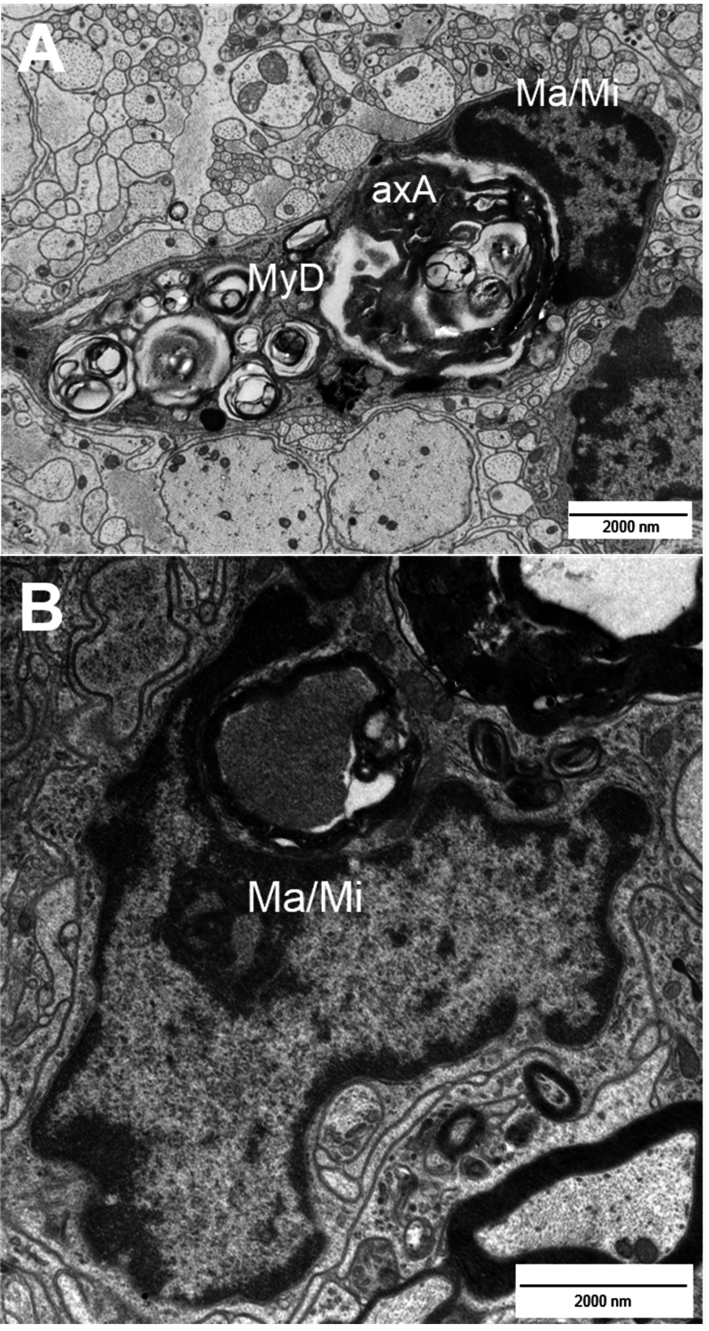 Ijms 16 14850 g001 1024