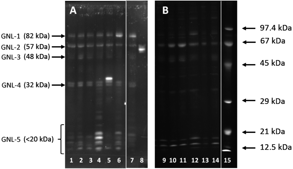 Ijms 16 14933 g001 1024